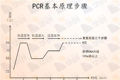 从PCR的三个步骤变性、退火、延伸到PCR实验室装修注意要点。